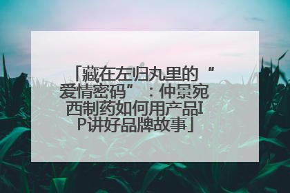 藏在左归丸里的“爱情密码”：仲景宛西制药如何用产品IP讲好品牌故事
