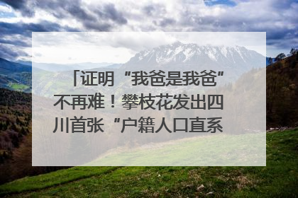 证明“我爸是我爸”不再难！攀枝花发出四川首张“户籍人口直系亲属关系谱”