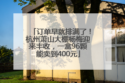 订单早就排满了！杭州萧山大棚杨梅迎来丰收，一盒96颗能卖到400元
