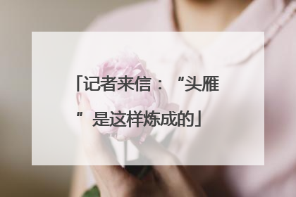 记者来信：“头雁”是这样炼成的