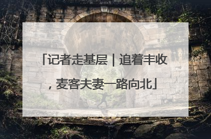 记者走基层｜追着丰收，麦客夫妻一路向北