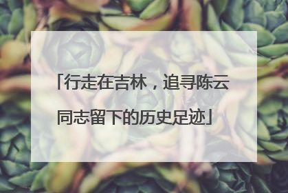 行走在吉林，追寻陈云同志留下的历史足迹