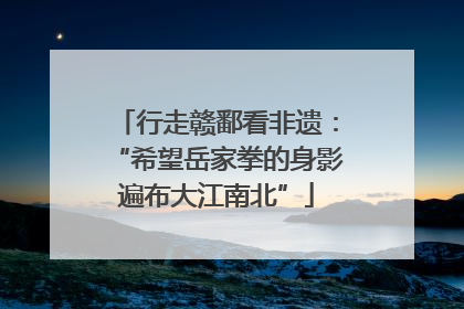行走赣鄱看非遗：“希望岳家拳的身影遍布大江南北”