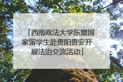 西南政法大学东盟国家留学生赴贵阳贵安开展法治交流活动