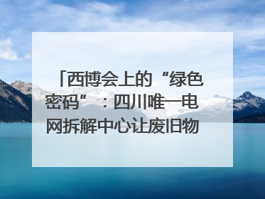西博会上的“绿色密码”：四川唯一电网拆解中心让废旧物资“重生”｜西博寻“新”记