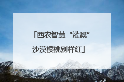 西农智慧“灌溉” 沙漠樱桃别样红