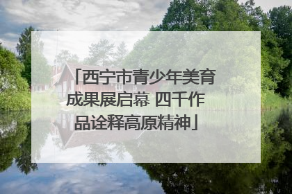 西宁市青少年美育成果展启幕 四千作品诠释高原精神