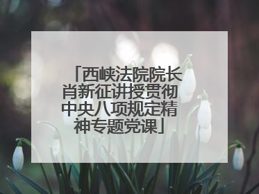 西峡法院院长肖新征讲授贯彻中央八项规定精神专题党课