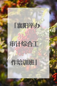 襄阳举办审计综合工作培训班