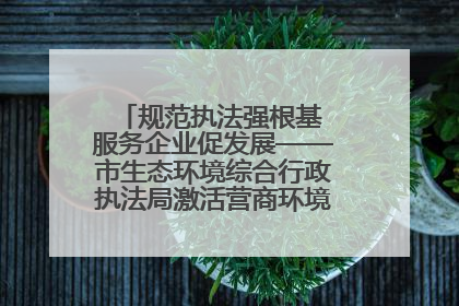 规范执法强根基 服务企业促发展——市生态环境综合行政执法局激活营商环境“绿色动能”