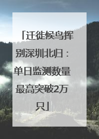 迁徙候鸟挥别深圳北归：单日监测数量最高突破2万只