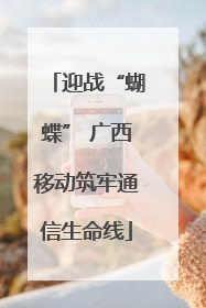 迎战“蝴蝶” 广西移动筑牢通信生命线