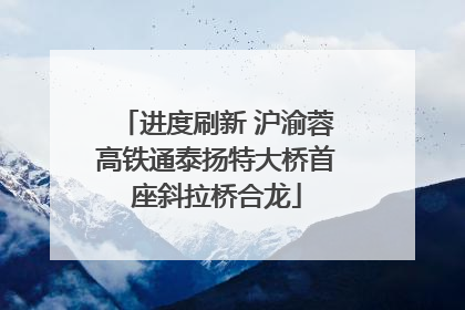 进度刷新 沪渝蓉高铁通泰扬特大桥首座斜拉桥合龙