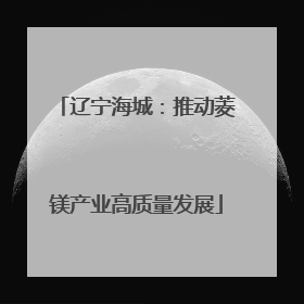 辽宁海城：推动菱镁产业高质量发展