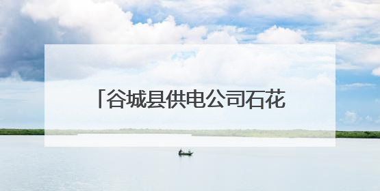 谷城县供电公司石花供电所电力科普进校园安全“童”行护成长