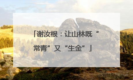 谢汝根：让山林既“常青”又“生金”