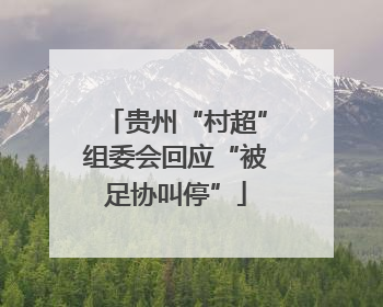 贵州“村超”组委会回应“被足协叫停”