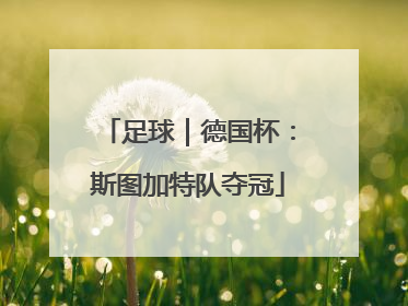 足球｜德国杯：斯图加特队夺冠