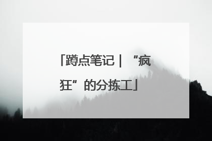 蹲点笔记｜“疯狂”的分拣工