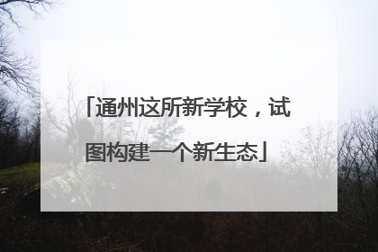 通州这所新学校，试图构建一个新生态