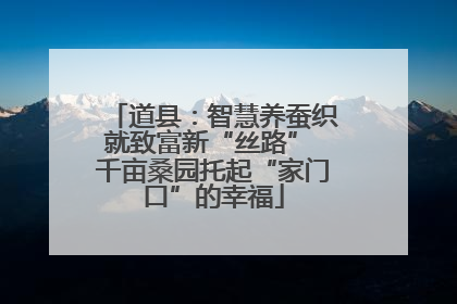 道县：智慧养蚕织就致富新“丝路” 千亩桑园托起“家门口”的幸福