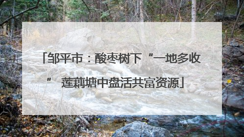 邹平市：酸枣树下“一地多收” 莲藕塘中盘活共富资源