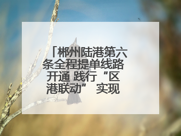 郴州陆港第六条全程提单线路开通 践行“区港联动” 实现“半日通关”