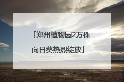 郑州植物园2万株向日葵热烈绽放