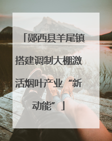 郧西县羊尾镇搭建调制大棚激活烟叶产业“新动能”