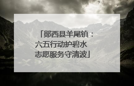 郧西县羊尾镇：六五行动护碧水 志愿服务守清波