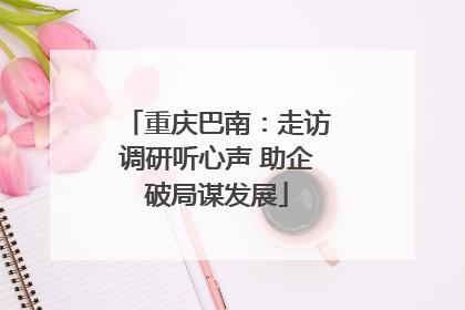 重庆巴南：走访调研听心声 助企破局谋发展