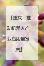 重庆：推动机器人产业高质量发展