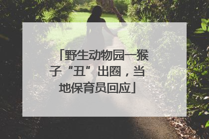 野生动物园一猴子“丑”出圈，当地保育员回应
