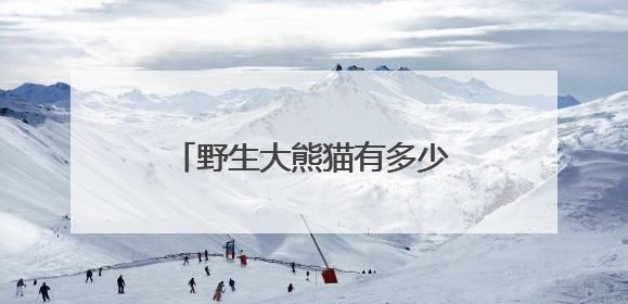 野生大熊猫有多少？种群如何分布？科研团队实地探秘