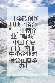 金砖创新基地“搭台”，中南企业“唱戏” 中国（厦门）-南非中小企业对接会在厦举办