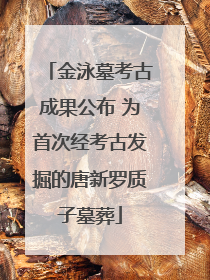 金泳墓考古成果公布 为首次经考古发掘的唐新罗质子墓葬
