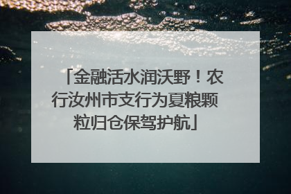 金融活水润沃野！农行汝州市支行为夏粮颗粒归仓保驾护航