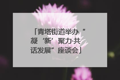 青塔街道举办“凝‘新’聚力·共话发展”座谈会