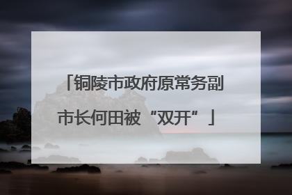 铜陵市政府原常务副市长何田被“双开”