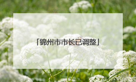 锦州市市长已调整