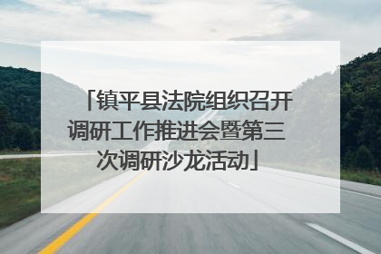 镇平县法院组织召开调研工作推进会暨第三次调研沙龙活动