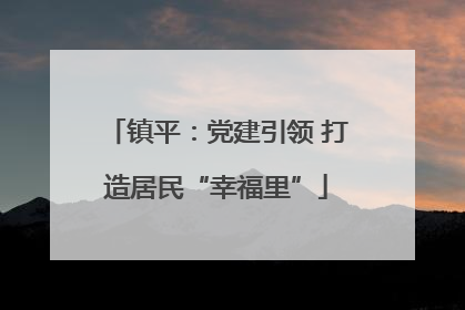 镇平：党建引领 打造居民“幸福里”