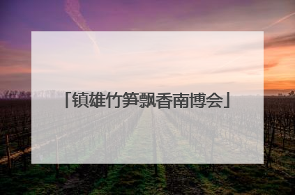 镇雄竹笋飘香南博会