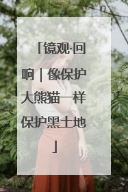 镜观·回响｜像保护大熊猫一样保护黑土地