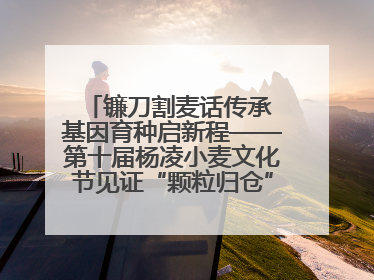 镰刀割麦话传承 基因育种启新程——第十届杨凌小麦文化节见证“颗粒归仓”时空跨越
