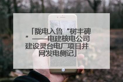 陇电入鲁“树丰碑”——电建核电公司建设灵台电厂项目并网发电侧记
