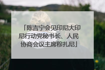 陈吉宁会见印尼大印尼行动党秘书长、人民协商会议主席穆扎尼