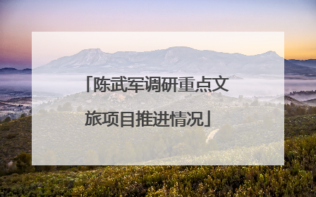 陈武军调研重点文旅项目推进情况