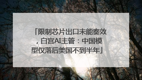 限制芯片出口未能奏效，白宫AI主管：中国模型仅落后美国不到半年