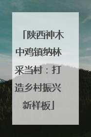 陕西神木中鸡镇纳林采当村：打造乡村振兴新样板